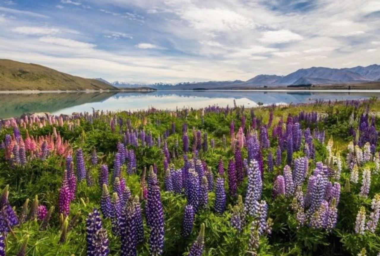 Lake Tekapo Village Motel Dış mekan fotoğraf